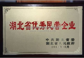 湖北省優(yōu)秀民營(yíng)企業(yè)